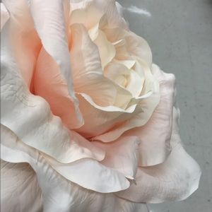 Meet your Posher, Luz